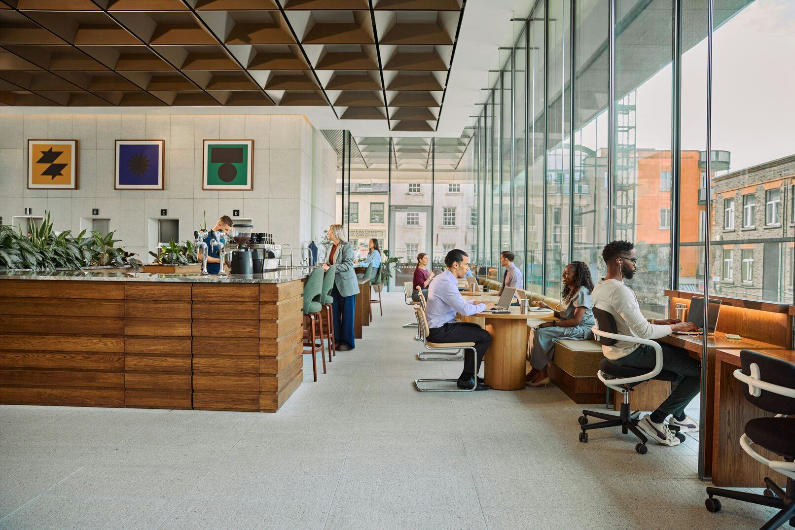 Web 72DPI-TL bp55of (1)