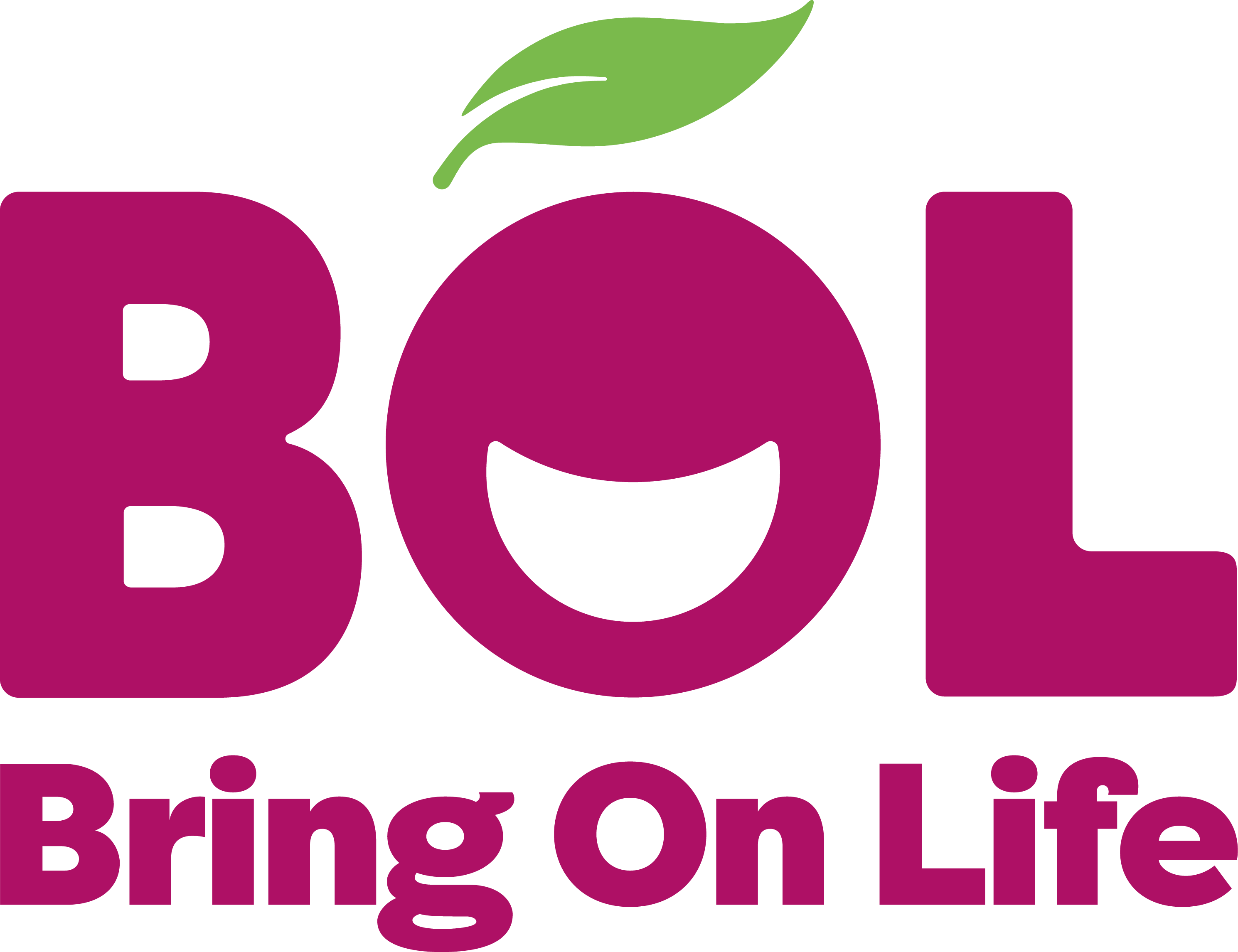 BOL logo