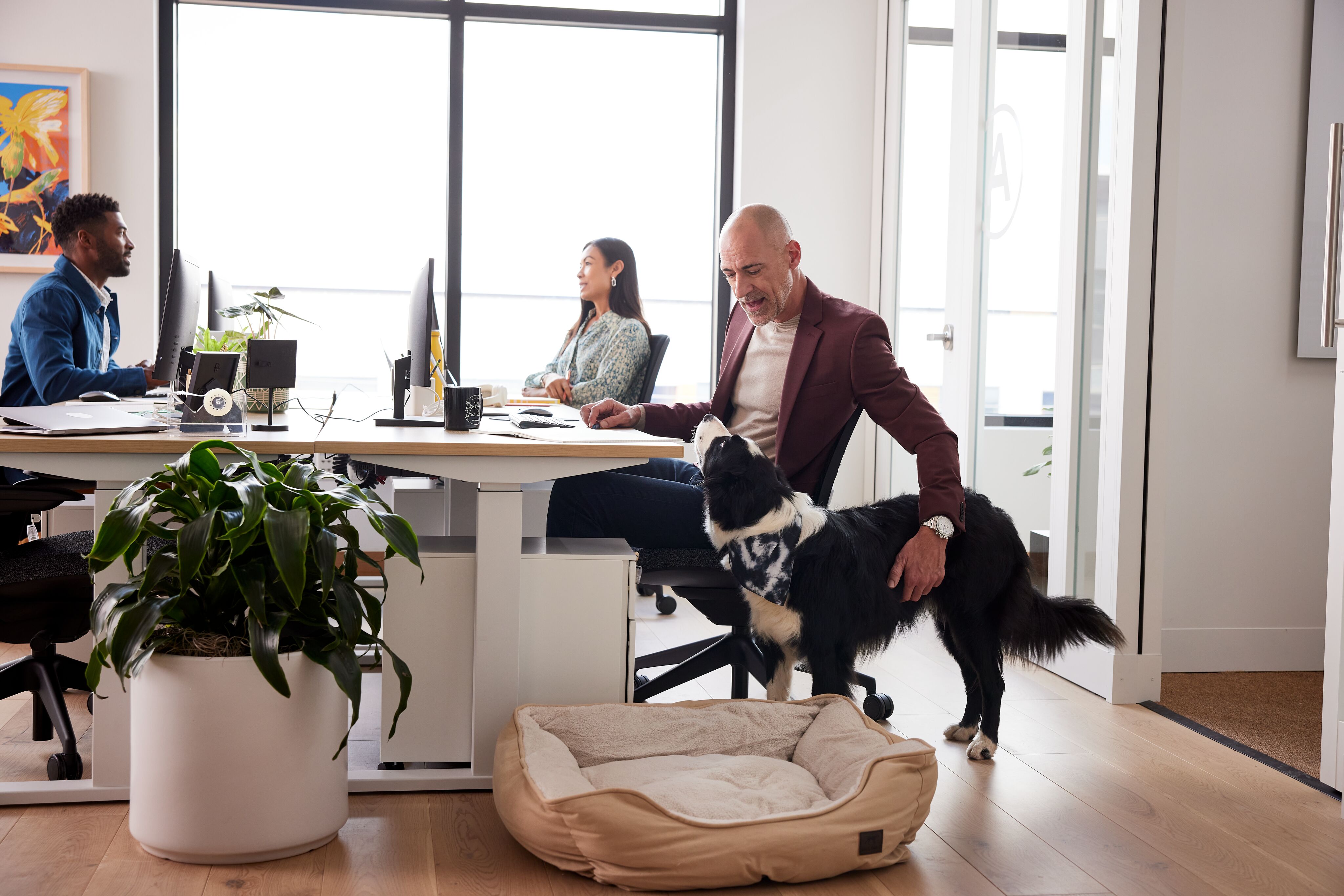 Web 150DPI-2023 04 15 ATL Lifestyle Office 04384 1