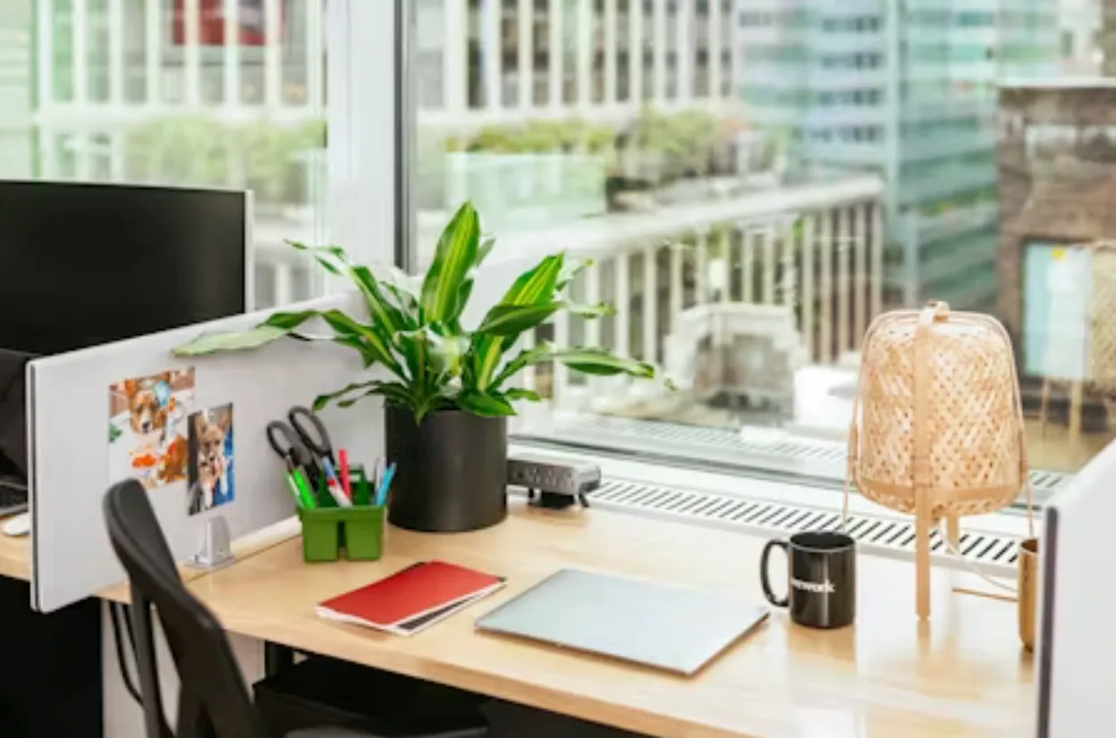 Space=DedicatedDesk, Size=M, Aspect=1x1